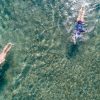 swim | | Harvard Bilang Ini 5 Olahraga Paling Efektif