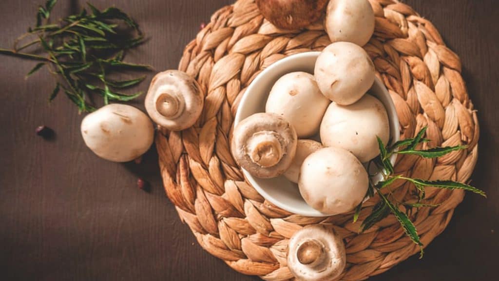 mushroom | | 6 Makanan Ampuh Meningkatkan Kekebalan Tubuh, Menurut Sains