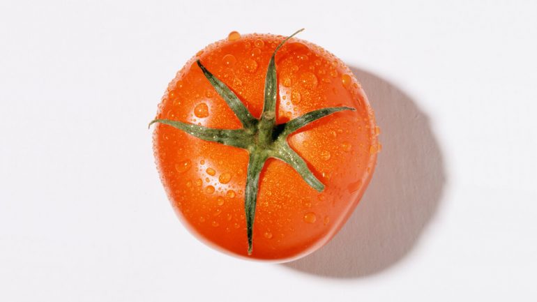 cara membuat masker tomat