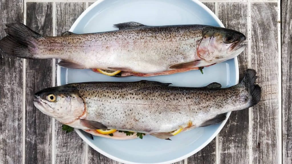 Ikan Air Tawar | | 13 Makanan Sehat Yang Mengandung Vitamin B