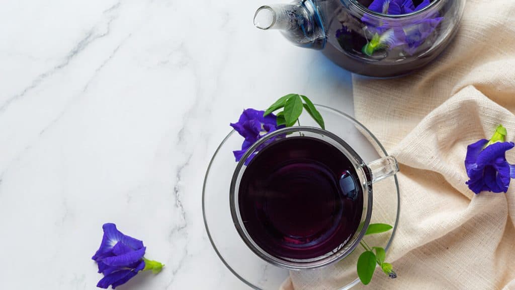 bunga telang ungu | | Ini 4 Manfaat Bunga Telang Ungu Bagi Kesehatan