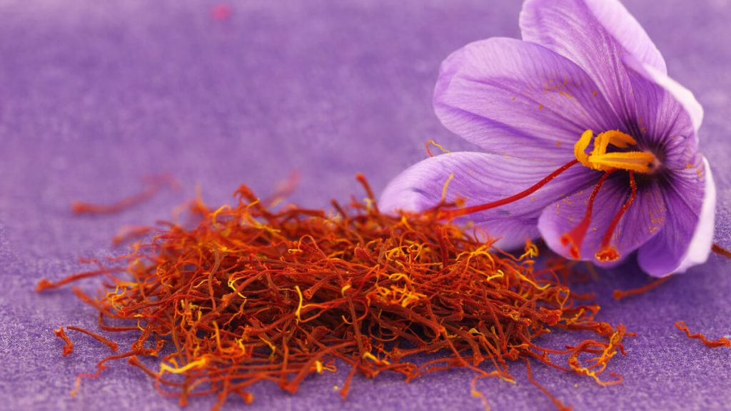 manfaat saffron bagi kesehatan perempuan