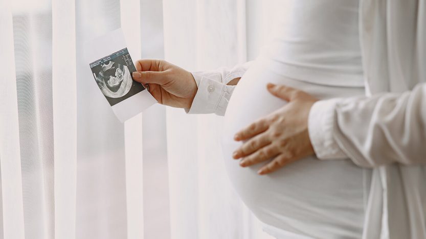 bahaya toxoplasma pada ibu hamil